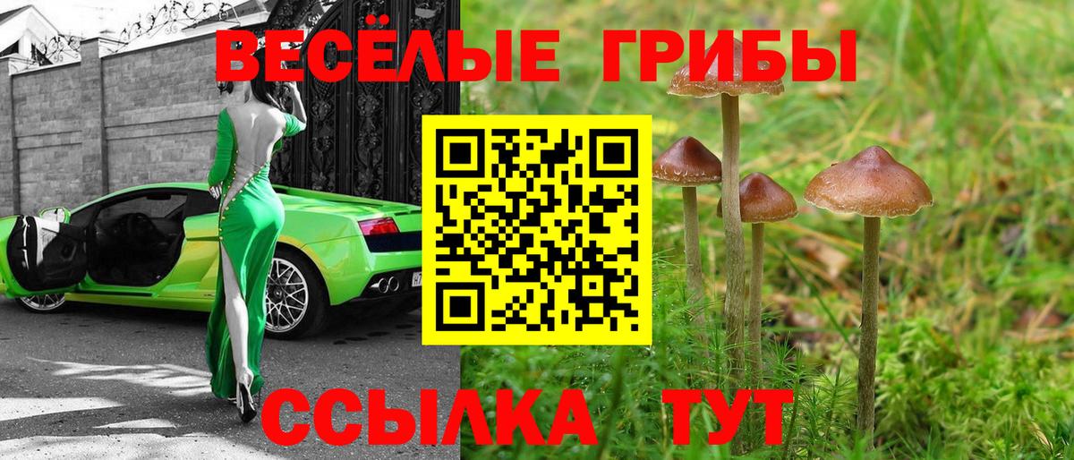 Ростов Великий  Псилоцибиновые грибы GOLDEN TEACHER  Вход с VPN  Псилоцибиновые грибы MAGIC MUSHROOMS 