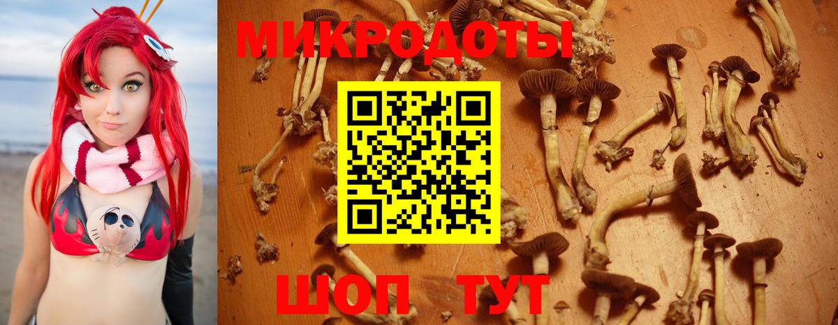 Псилоцибиновые грибы Magic Shrooms Ростов Великий